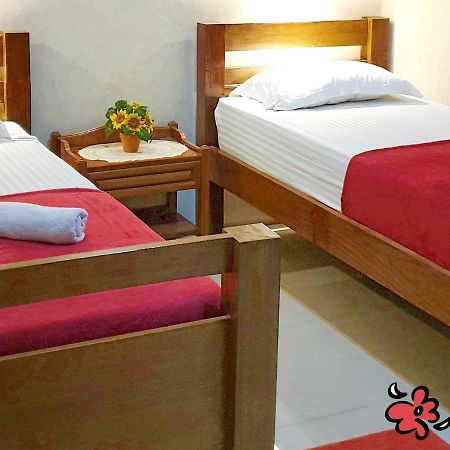 Maple Tree Homestay Maguwo Екстер'єр фото