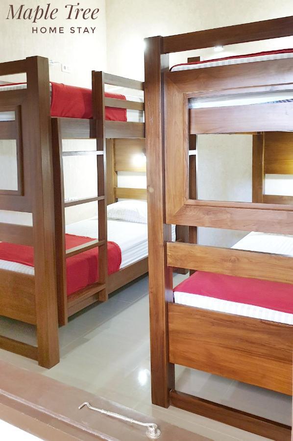 Maple Tree Homestay Maguwo Екстер'єр фото
