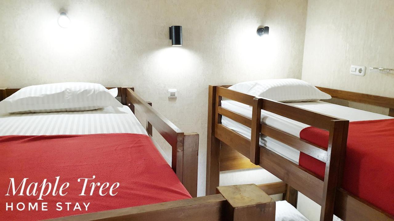 Maple Tree Homestay Maguwo Екстер'єр фото