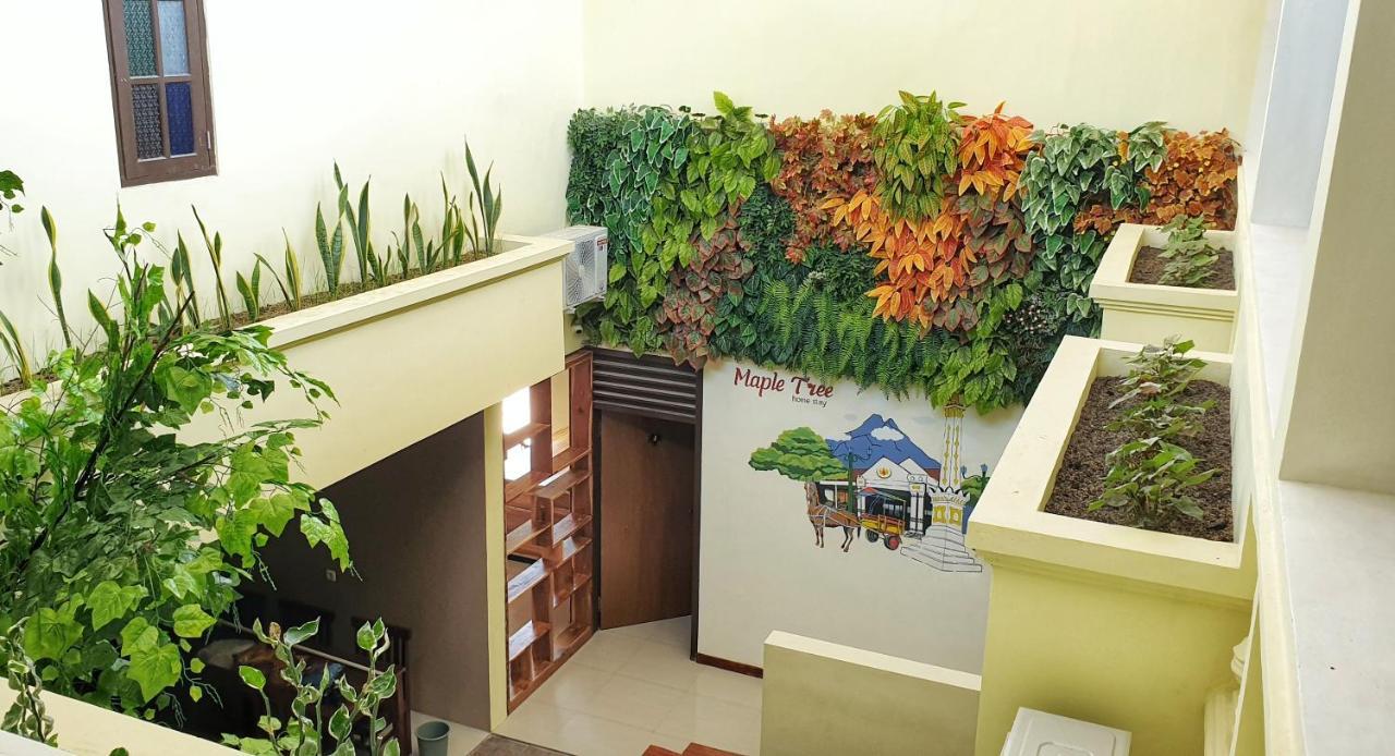 Maple Tree Homestay Maguwo Екстер'єр фото