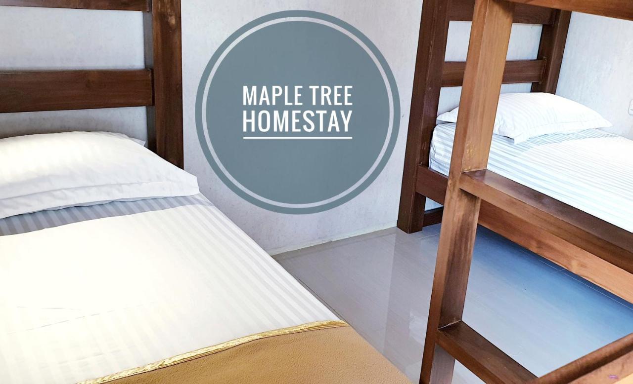 Maple Tree Homestay Maguwo Екстер'єр фото
