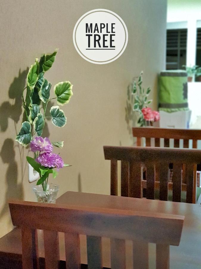Maple Tree Homestay Maguwo Екстер'єр фото